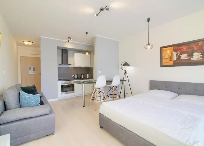 In - Potulicka Stettino